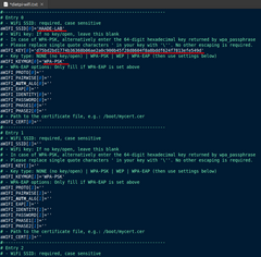 Wifi settings in dietpi-wifi.txt