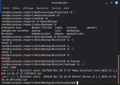 Vérifications copies sur serveur NAS