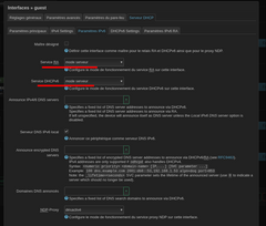 active le serveur dhcp v6 pour guest