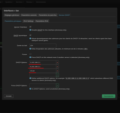 paramètre spécifique à adguardhome si le dhcp est actif dans l'interface lan partie dhcpv4