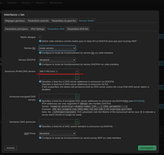 paramètre spécifique à adguardhome si le dhcp est actif dans l'interface lan partie dhcpv6