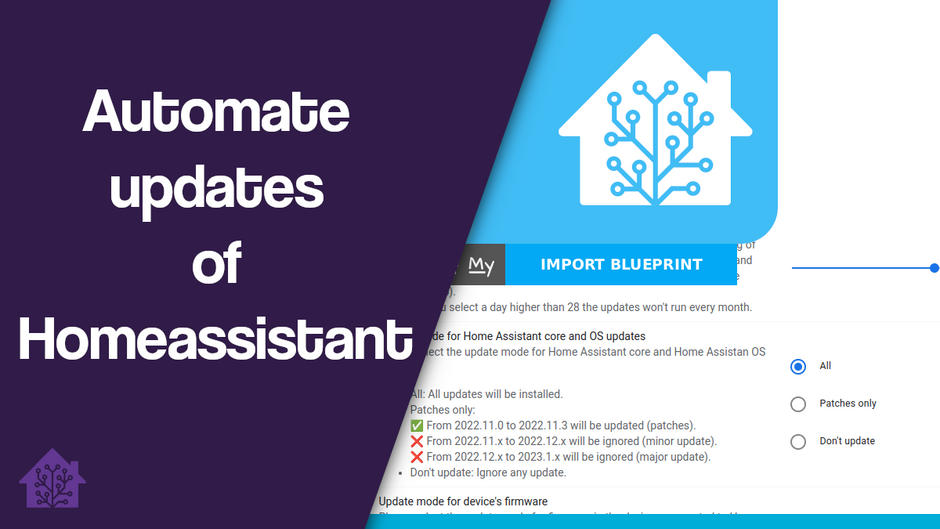 Homeassistant automatic update