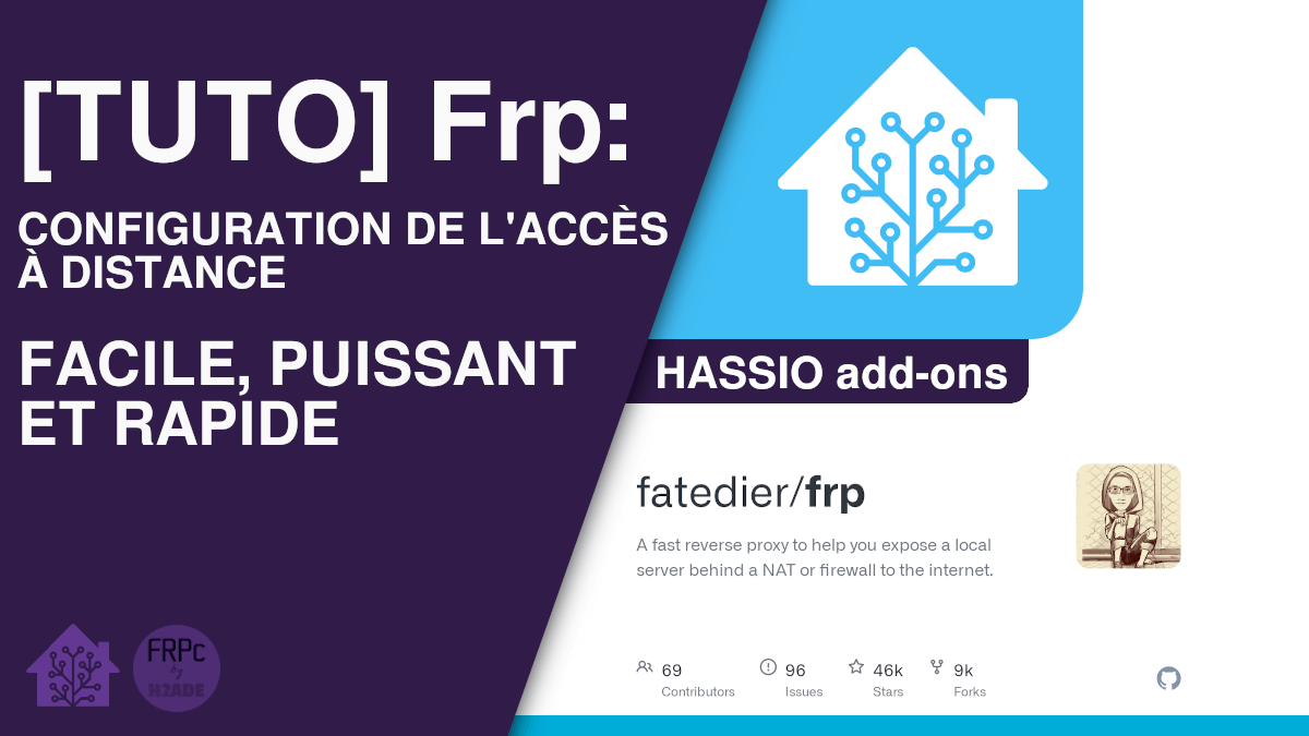Frp – accès à distance pour homeassistant.